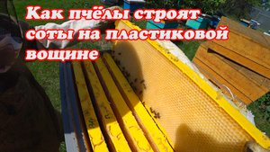 ПОЛУЧИЛИ НОВИНКУ ПЛАСТИКОВЫХ РАМОК ОТ БИНЕНХАУСА, БЕРИ И СРАЗУ СТАВЬ В УЛЕЙ.