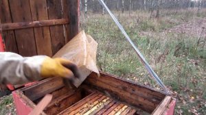 Пчеловодство. Борьба с клещом Varroa. Апидез полоски от клеща. Обработка пчёл от варроатоза.