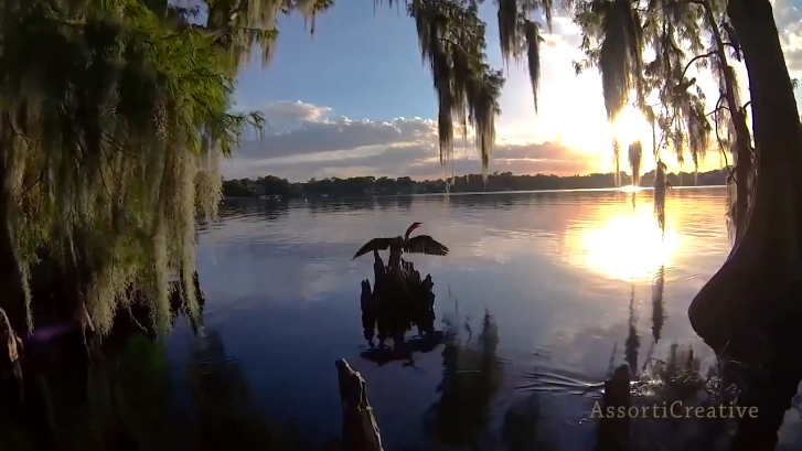 *Enigma-Hello and Welcome* смотреть онлайн