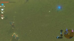 The Legend of Zelda: Breath of the Wild, Фарм стрел Версия игры 1.1.0.