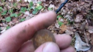 ДЕНЬ ПЯТАКОВ! ПОИСК МОНЕТ С МЕТАЛЛОИСКАТЕЛЕМ! КОП С АКА СОРЕКС ПРО!