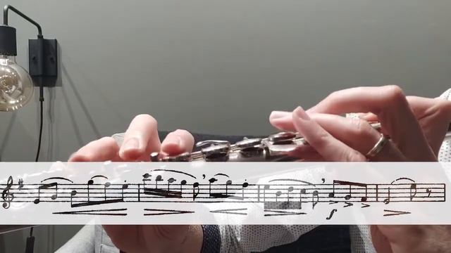 For Students | Gariboldi No. 19 - "30 easy and progressive studies for flute" смотреть онлайн