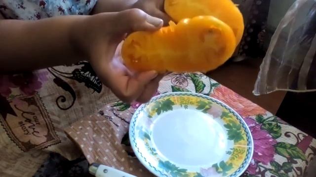 Необычный томат-Трюфель Желтый! смотреть онлайн