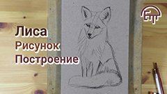 Лиса. Рисунок. Построение