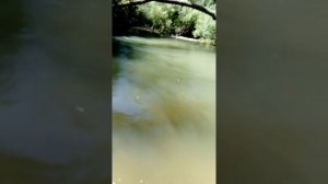 Крым Белогорск р карасевка
