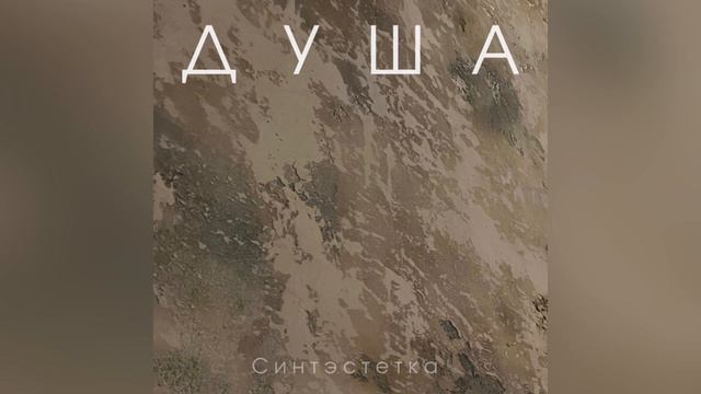 Синтэстетка — Душа (Ветлицкая cover) смотреть онлайн