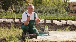 ПОЗДНЯЯ ПОСАДКА КАРТОФЕЛЯ: все ЗА и ПРОТИВ