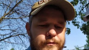 Зеленая слива