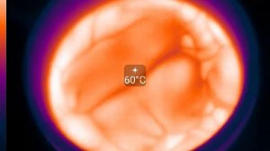 Чай через тепловизор / Tea through the eyes of a thermal imager