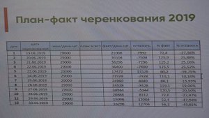 1 ч. "Виды размножения для питомника с минимальными вложениями. Зеленое черенкование"Любченко Ирина