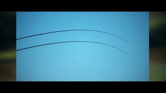 Сравнение спиннингов Narval Argument и Zetrix Exilon смотреть онлайн