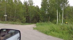 Поездка за детьми в сторону Вишневогорска