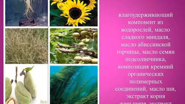 Линия кремов.Сакура-дневной крем.Компания БИЭКО...wmv смотреть онлайн