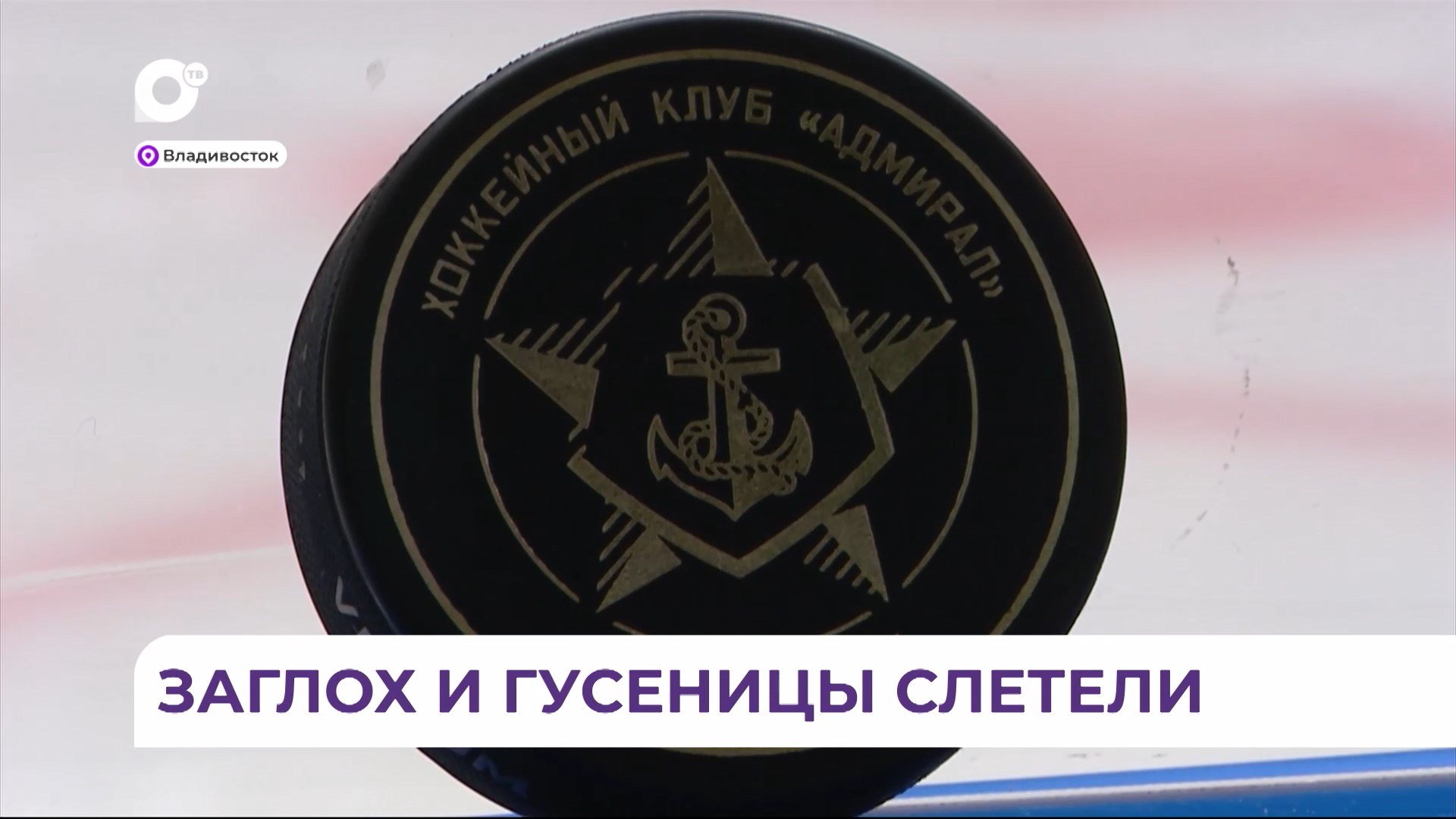 Приморский «Адмирал» продолжает выигрышную серию матчей