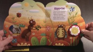 Музыкальная книга "Ромашки" Стихи малышам. Азбукварик. Видео-обзор