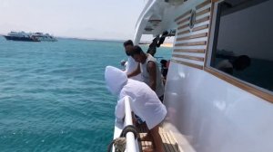 Морская рыбалка на Красном море(مصر)!Ловля рыбы с яхты! На крючке Морской попугай и груперы! 1Донна