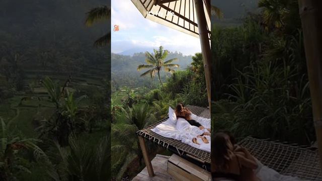 жизнь прекрасна и удивительна смотреть онлайн