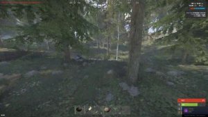 Какой FPS выдает RTX 2060 в RUST при включении DLSS?