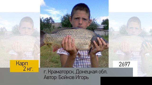 Фотоальбом - Рыбалка №539 смотреть онлайн