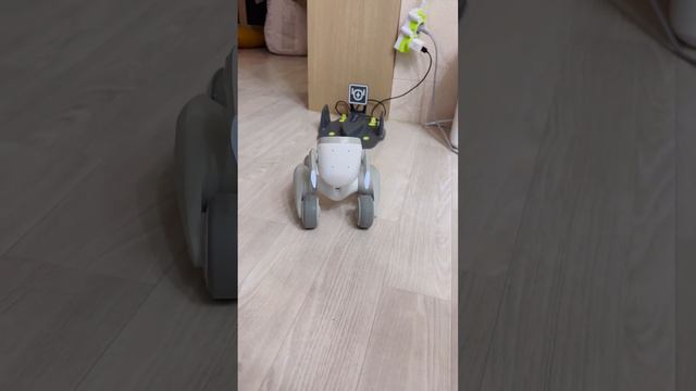 ai loona robot charging dock fail cute