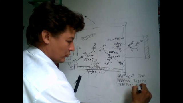 2/3: Человек и Животное смотреть онлайн