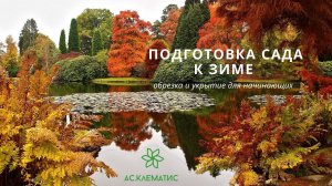 Сад перед обрезкой и укрытием на зиму | Красоты поздней осени: Розы Гортензии Клематисы