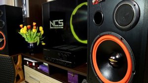 Linear Phase 8810 + Marantz PM-50 sound & bass excursion test