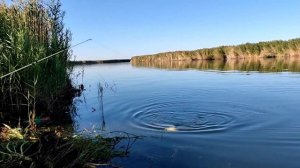 Балхаш. Рыбалка на Балхаше. 28-30 августа 2022 г.