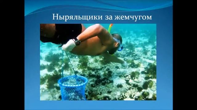 Самые необыкновенные и интересные профессии мира смотреть онлайн