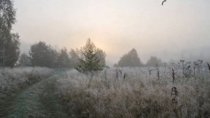 ДОРОГАМИ ОСЕНИ... (Фото - Вл. Громова (Н/Новгород), музыка - Светланы Козловой (Flaer Smin))