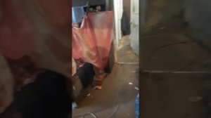 Почему тараканы появляются в квартире