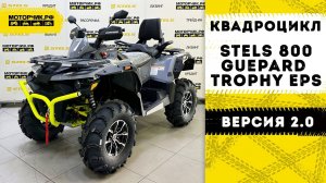 Квадроцикл Stels ATV 800G Guepard Trophy EPS CVTech 2.0 (серый/салатовая рама)