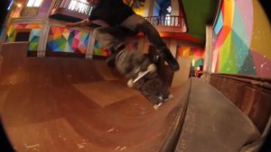 Bam Margera and friends skate Spain 2017 CKY