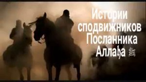 ИсторЯ салмони форс