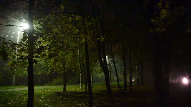 ТЁМНАЯ ТРОПИНКА Футаж Horror смотреть онлайн