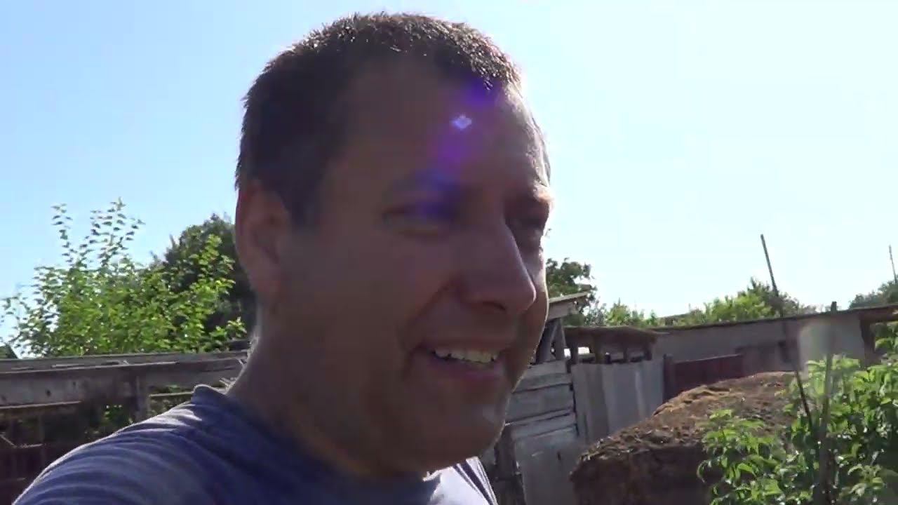 ОДИН ДЕНЬ ГОД КОРМИТ смотреть онлайн