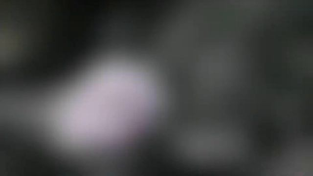 Test review Sony HXR NX100 смотреть онлайн