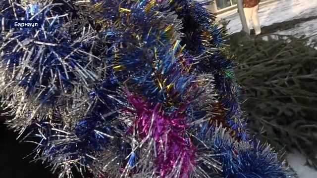 В Барнауле скоро откроются ёлочные базары смотреть онлайн