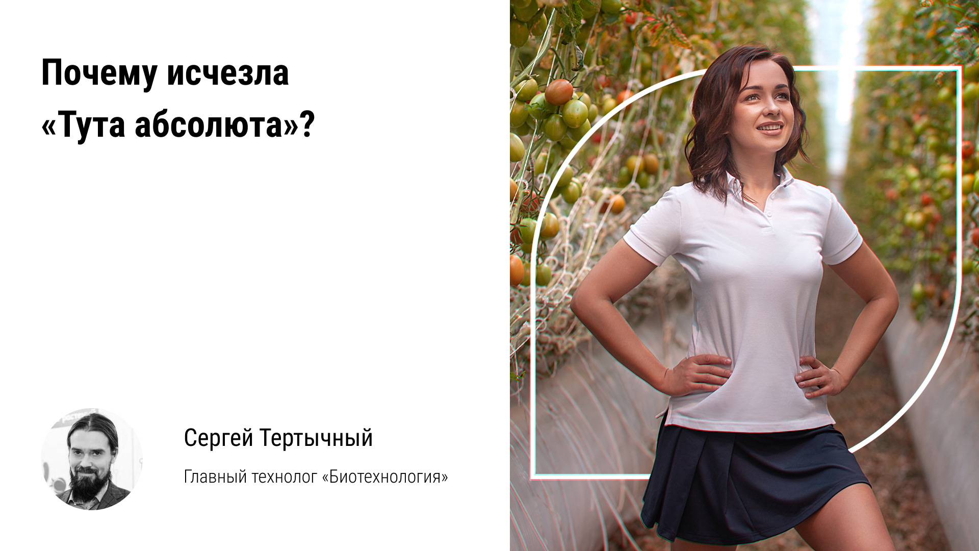 ? Почему исчезла Тута абсолюта в теплице? Опыт, инструменты контроля вредителя в теплице смотреть онлайн