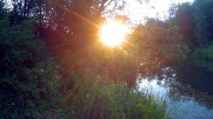 А я не хочу четыре стены