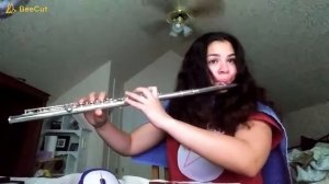 Why I Cry by NSP on flute