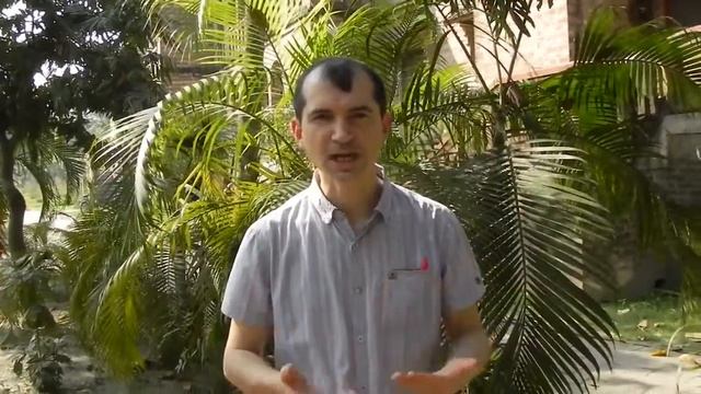 Должны ли партнеры в паре быть похожими Андрей Комаров смотреть онлайн