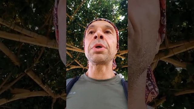 Ашрам "Источник" -- идея реализации смотреть онлайн