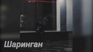 Знаменитости которые смотрят аниме