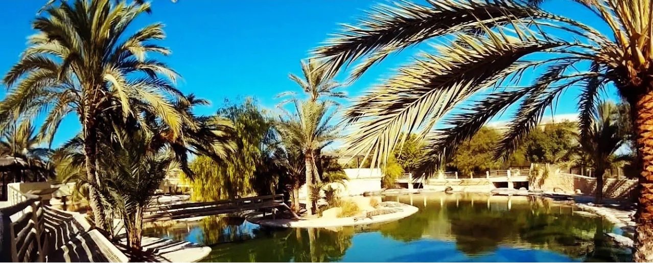 Tunisia 2017