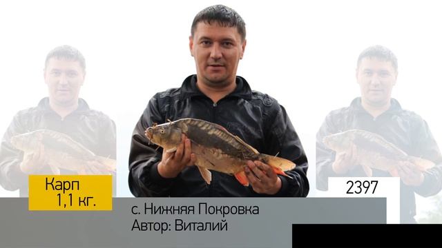 Фотоальбом - Рыбалка №479 смотреть онлайн