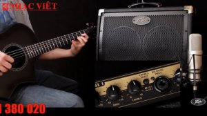 Peavey Ecoustic E208