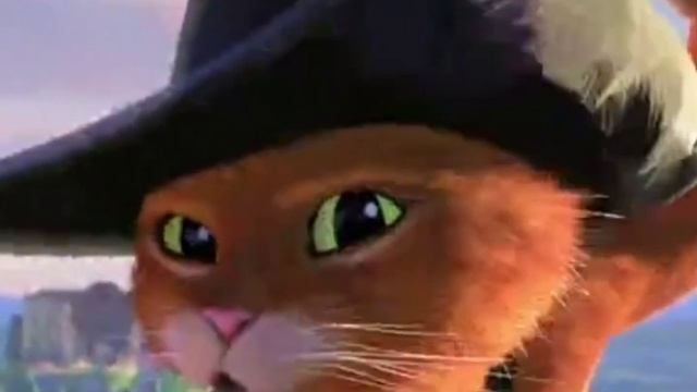 #котвсапогах2