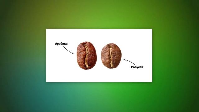 КОФЕ ИЛИ ЧАЙ? - ЧТО ЛУЧШЕ? смотреть онлайн