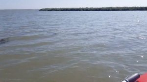 Лодка Азимут 330 и tohatsu 9.8 в азовских лиманах!